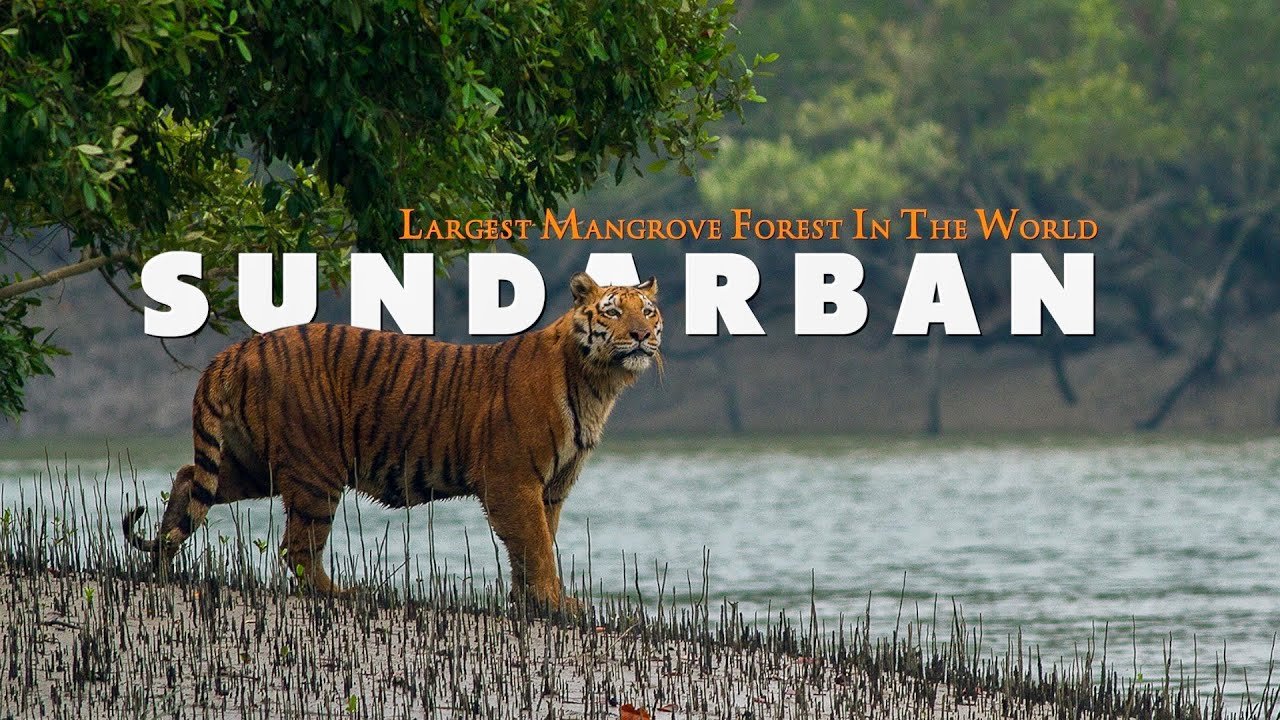 Sundarban Tour Package (2N/3D)